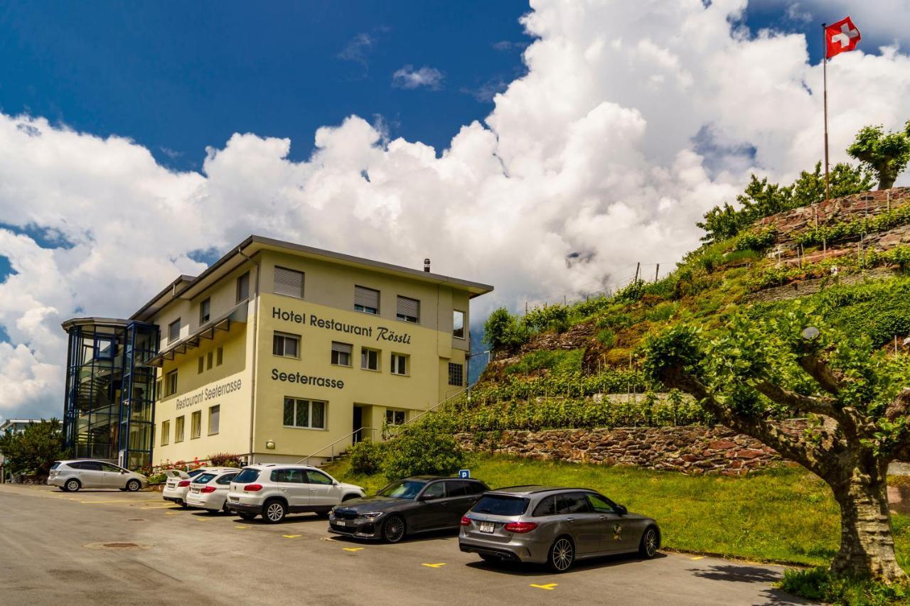 Seeblick Smart Roessli Hotel Murg