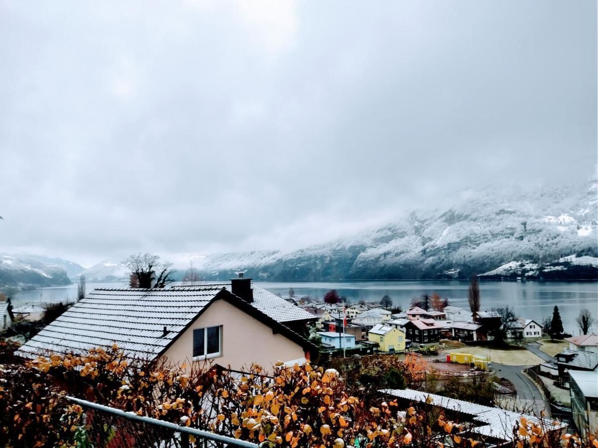 Seeblick Smart Roessli