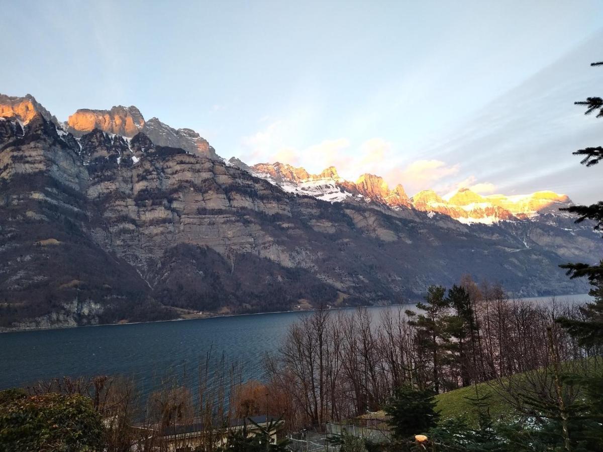 Seeblick Smart Roessli *